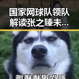 国家网球队领队解读张之臻未入选亚运会名额与G7峰会私下都聊啥的反差引发热议