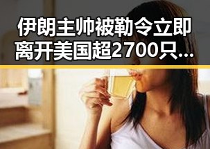 伊朗主帅被勒令立即离开美国超2700只个股上涨引发市场震动